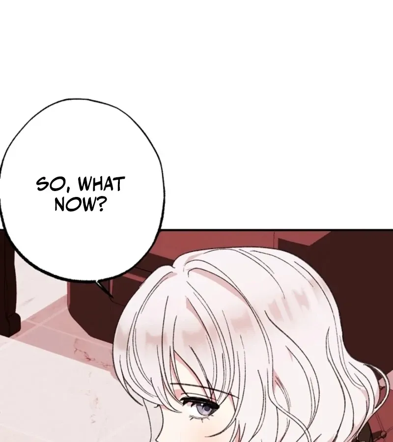 Secret Decoding Operation Chapter 2 page 87 - 