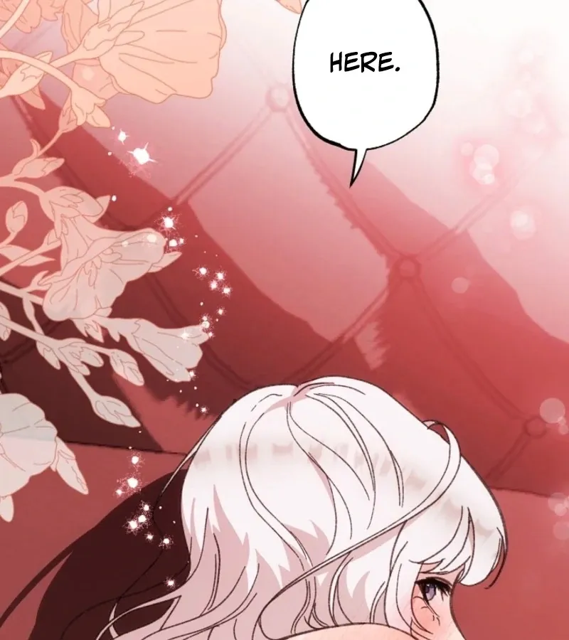 Secret Decoding Operation Chapter 3 page 127 - 