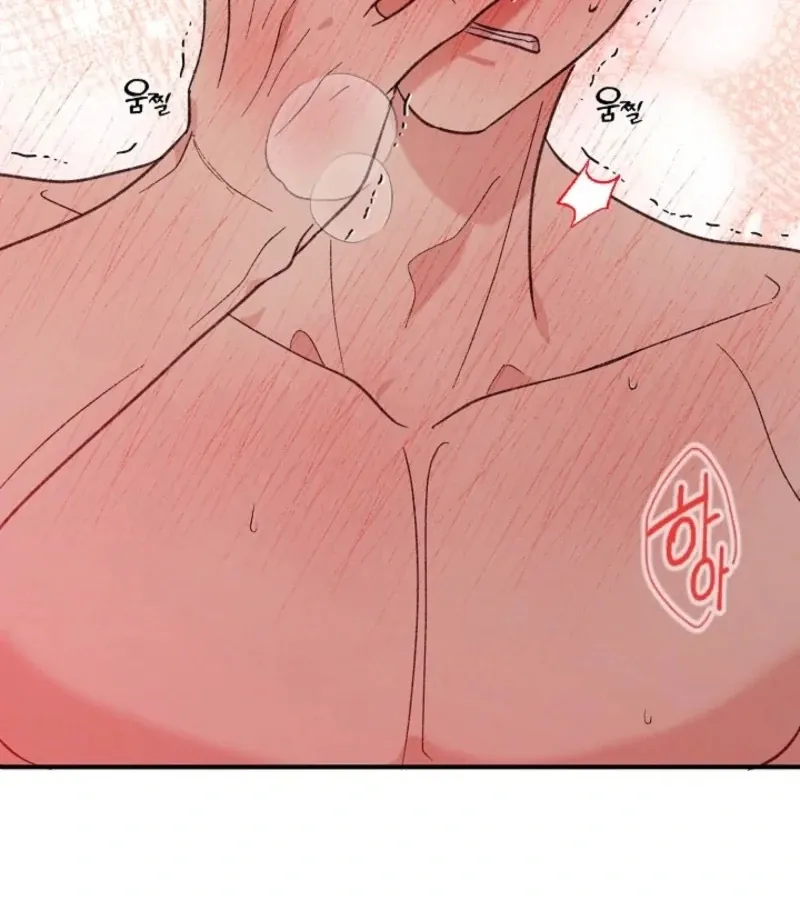 Secret Decoding Operation Chapter 3 page 26 - 