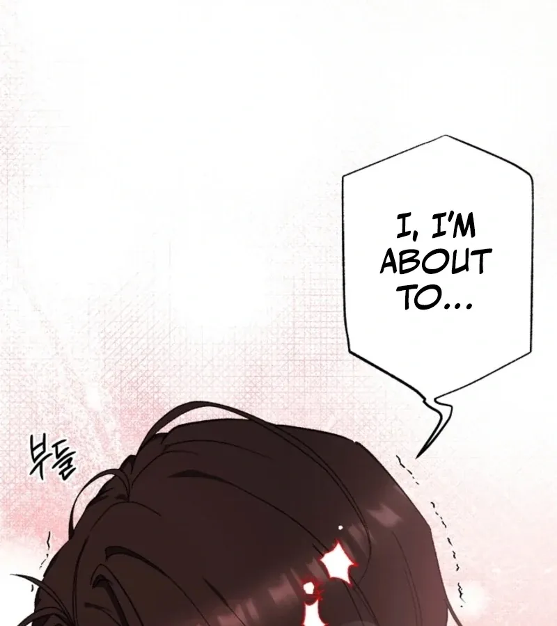 Secret Decoding Operation Chapter 3 page 47 - 