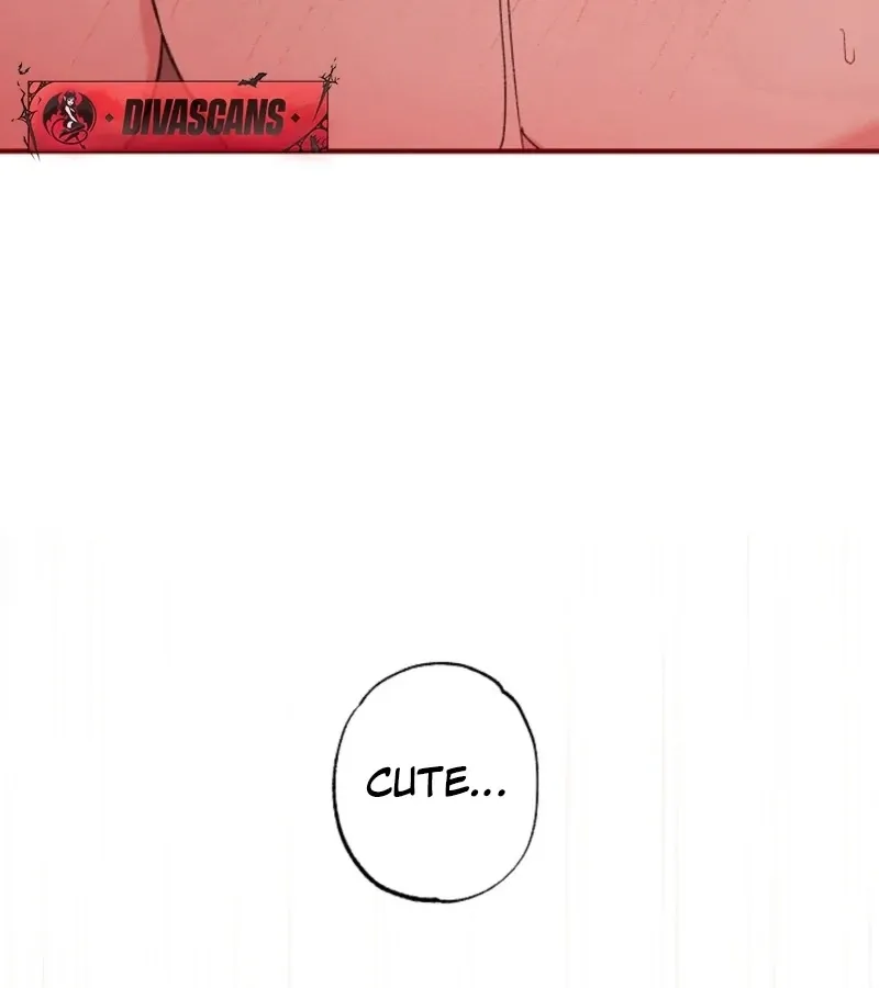 Secret Decoding Operation Chapter 3 page 49 - 