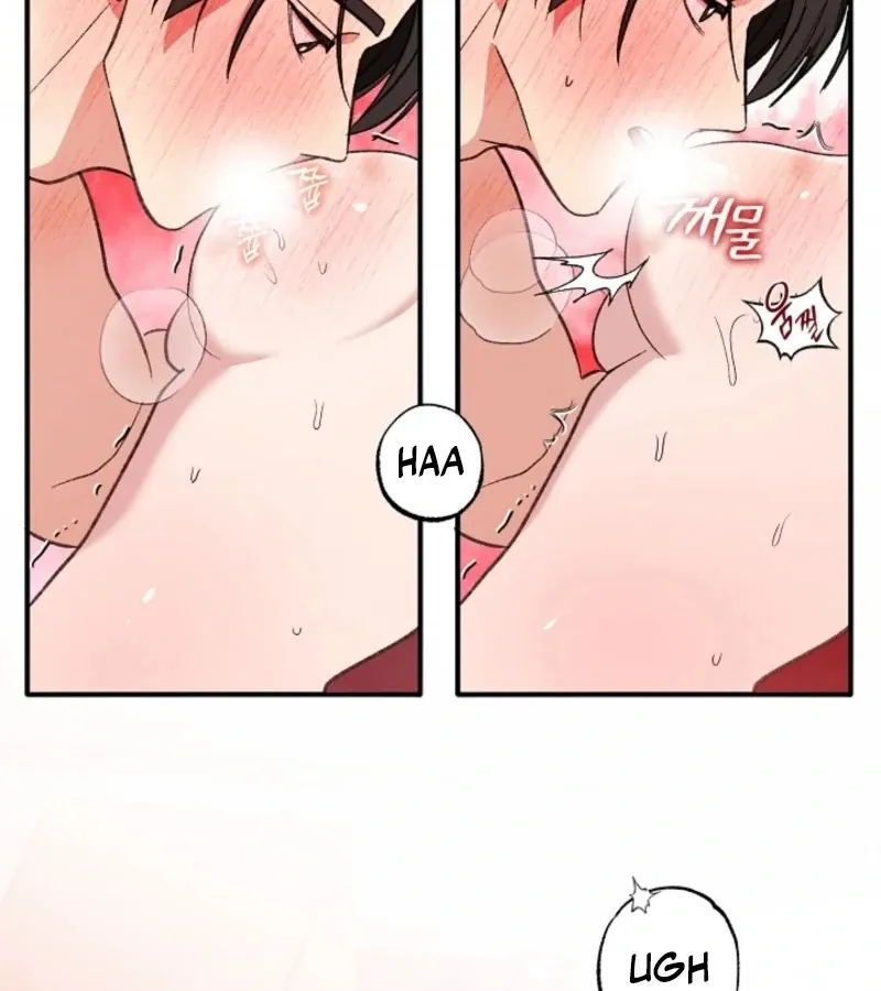 Secret Decoding Operation Chapter 3 page 88 - 