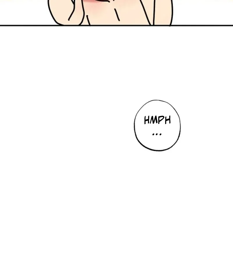 Secret Decoding Operation Chapter 3 page 94 - 