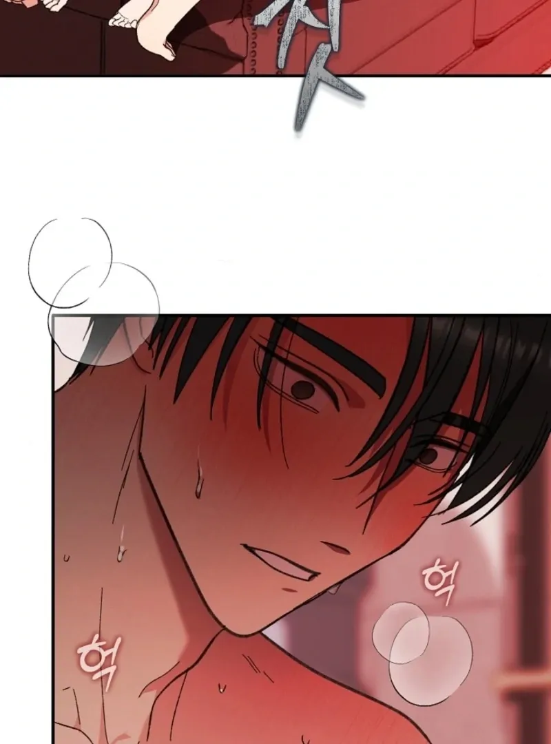 Secret Decoding Operation Chapter 4 page 22 - 