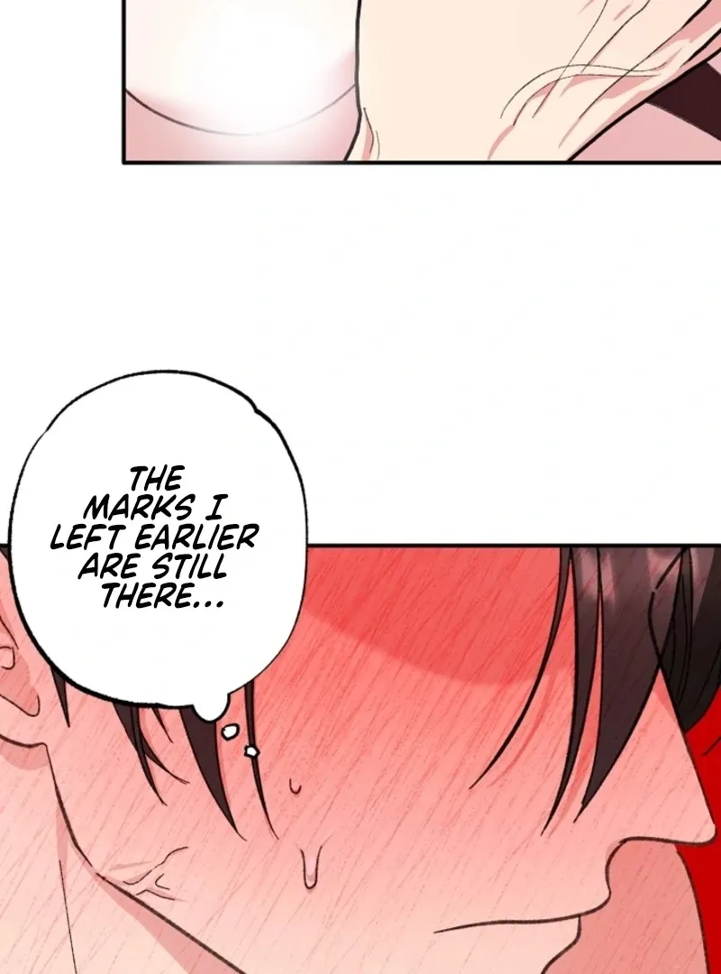 Secret Decoding Operation Chapter 4 page 87 - 