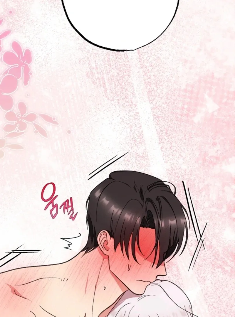 Secret Decoding Operation Chapter 4 page 97 - 