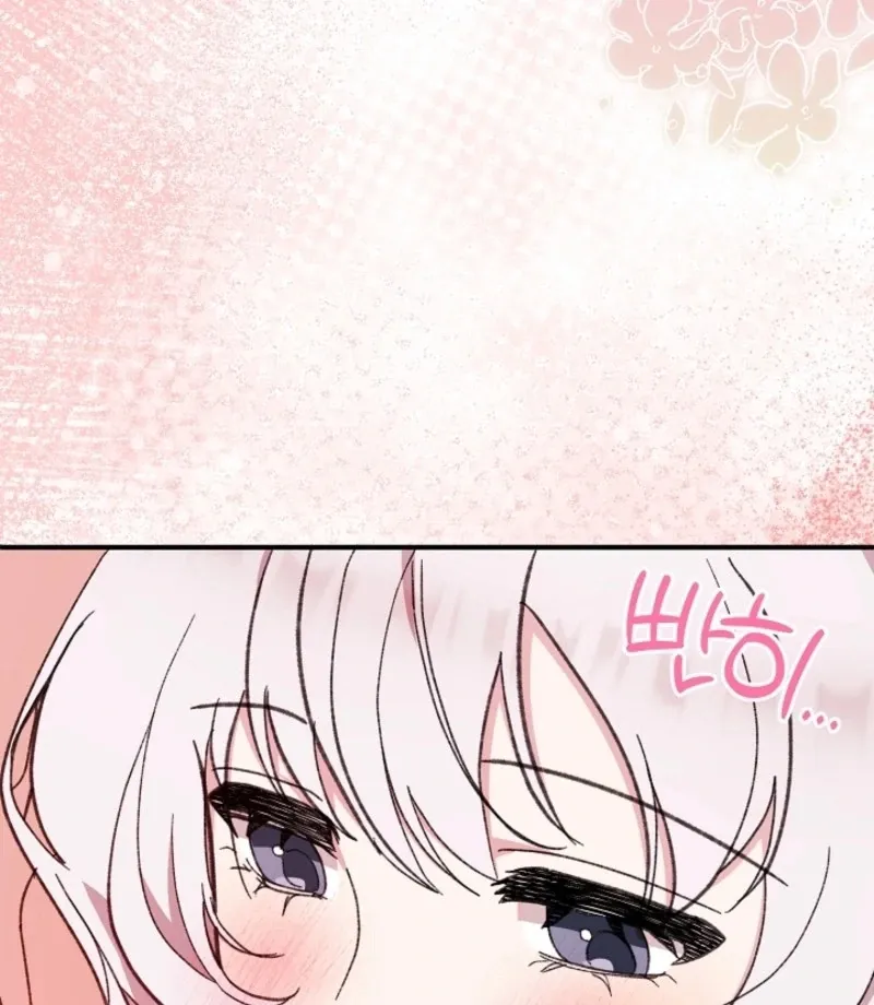 Secret Decoding Operation Chapter 4 page 99 - 