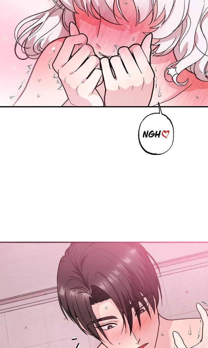 Secret Decoding Operation Chapter 5 page 12 - 