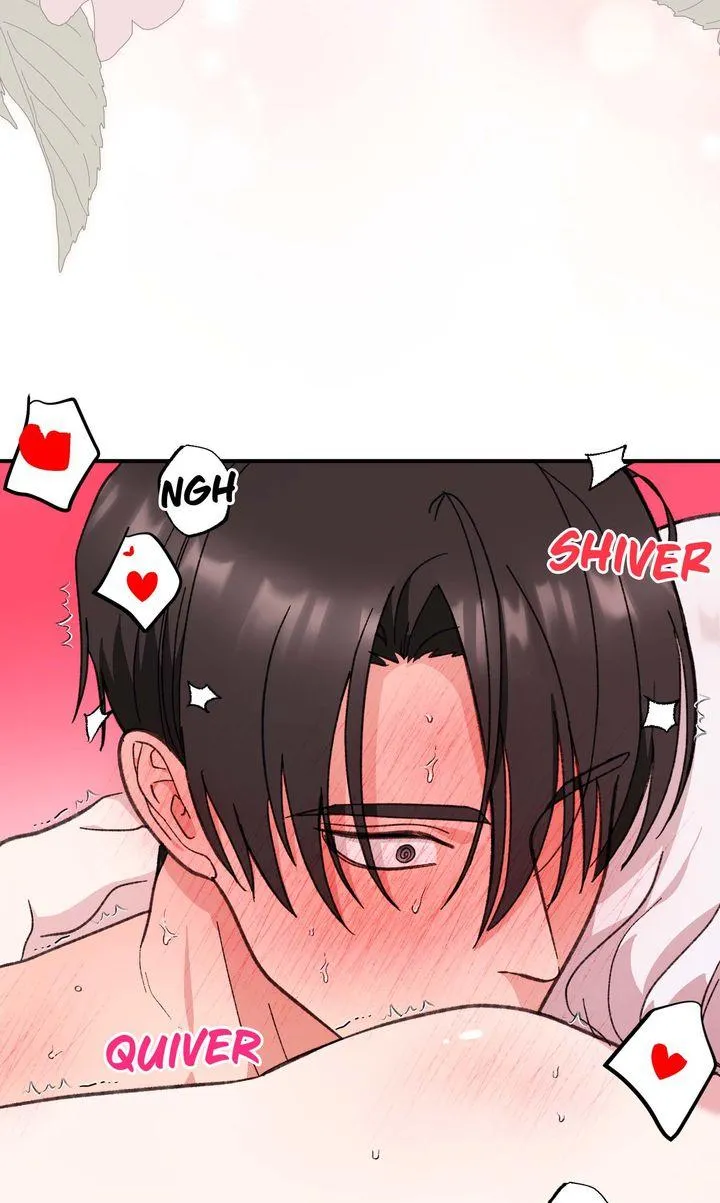 Secret Decoding Operation Chapter 5 page 15 - 