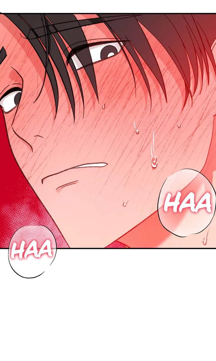 Secret Decoding Operation Chapter 5 page 4 - 