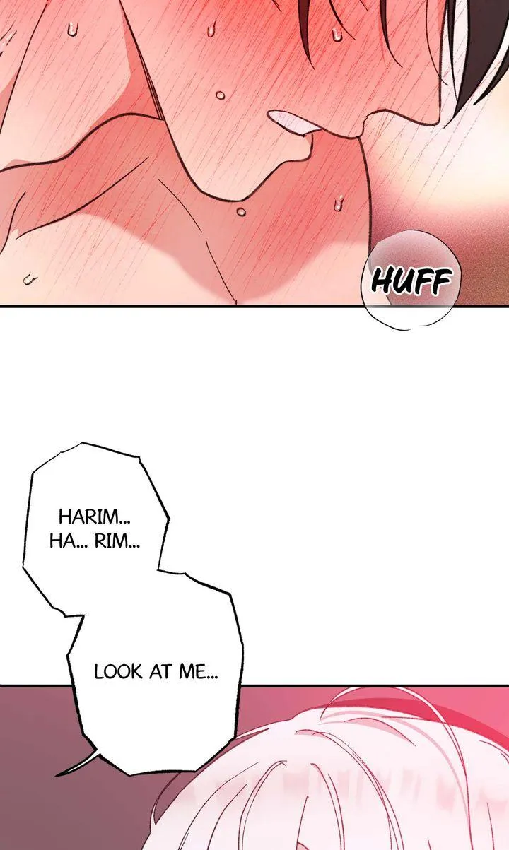 Secret Decoding Operation Chapter 5 page 40 - 