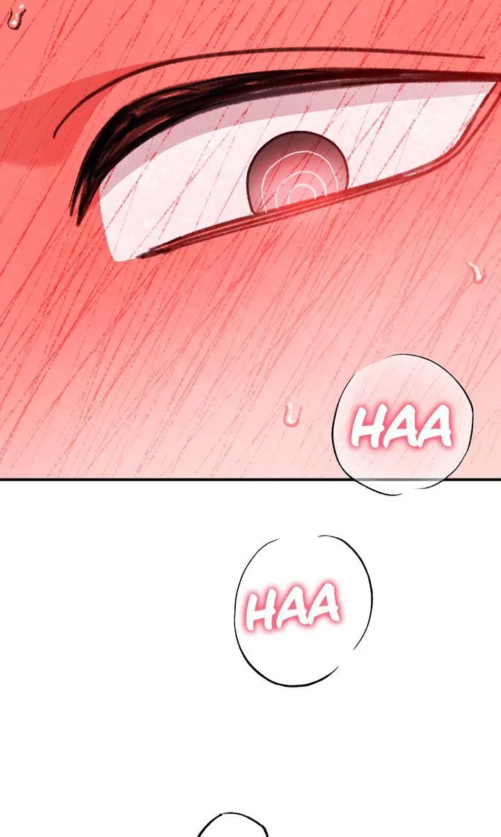 Secret Decoding Operation Chapter 5 page 7 - 