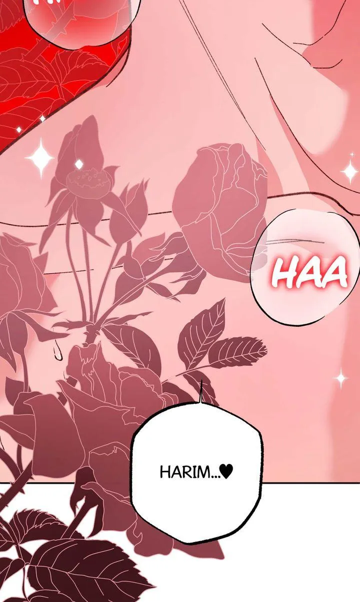 Secret Decoding Operation Chapter 5 page 78 - 
