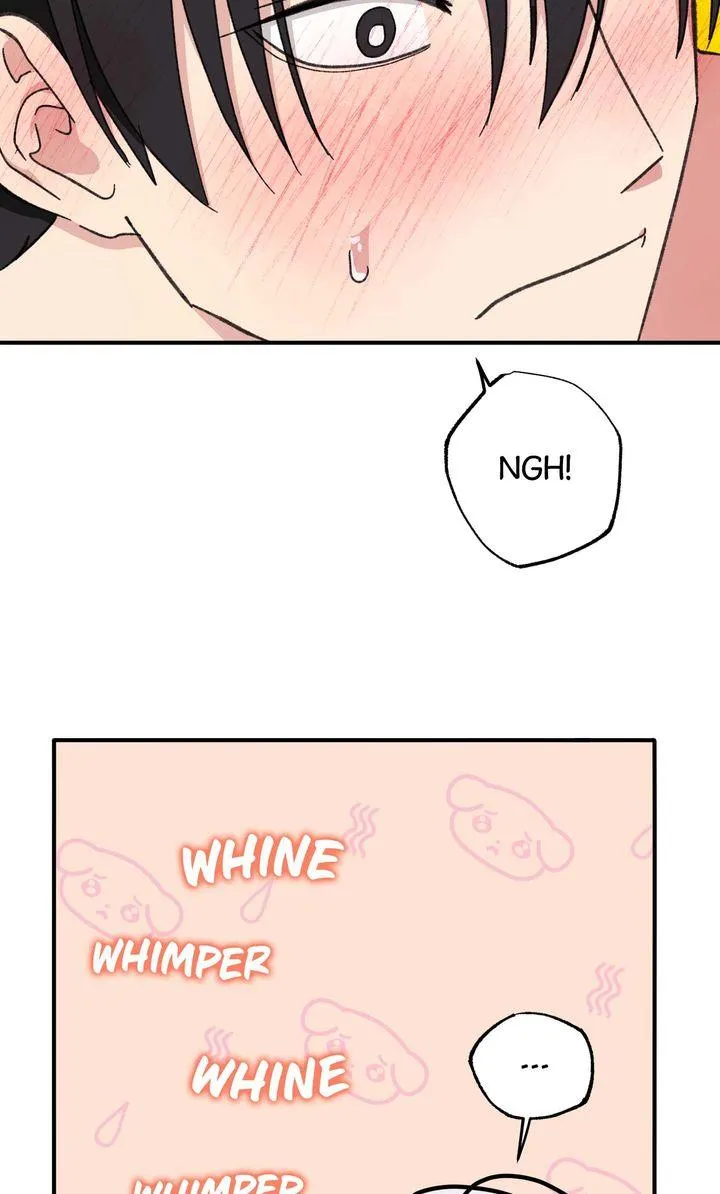 Secret Decoding Operation Chapter 6 page 71 - 
