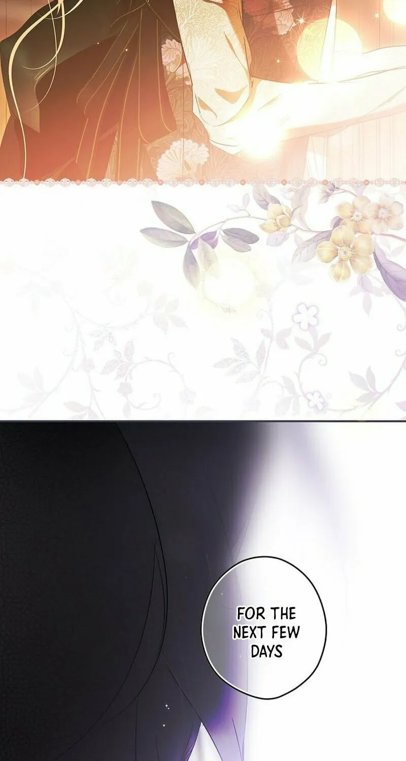 Secret Lady Chapter 101 page 62 - 