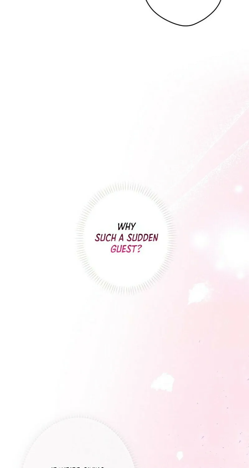 Secret Lady Chapter 102 page 19 - 