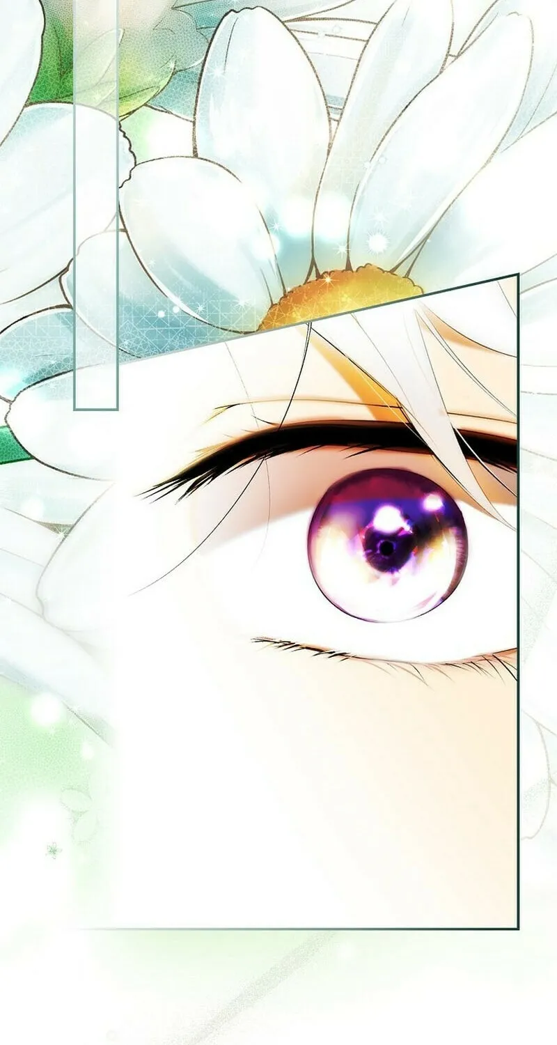 Secret Lady Chapter 102 page 64 - 