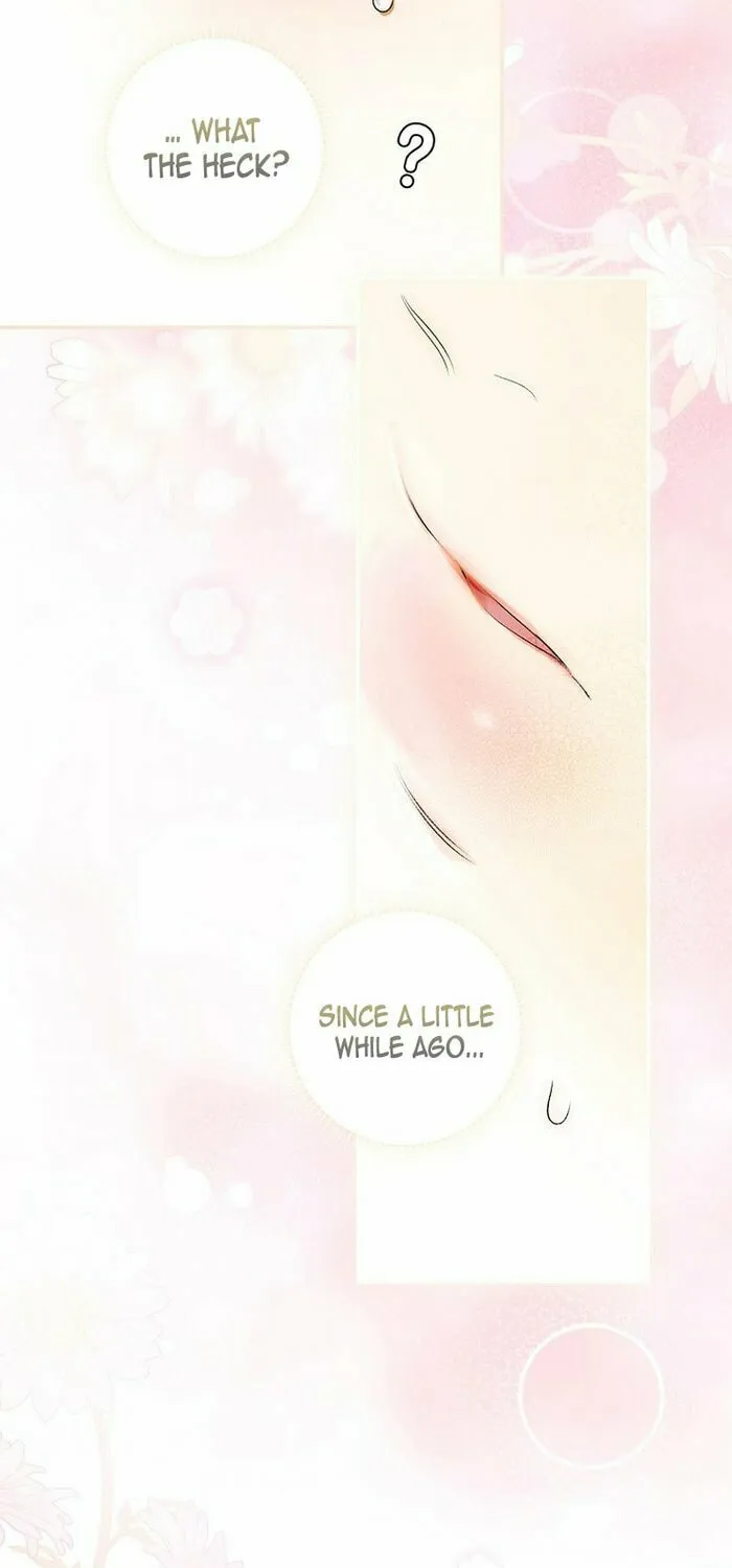 Secret Lady Chapter 104 page 13 - 