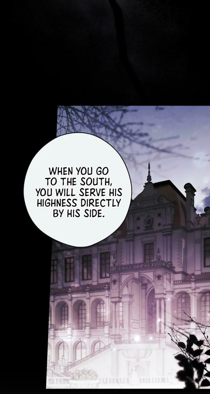 Secret Lady Chapter 112 page 41 - 