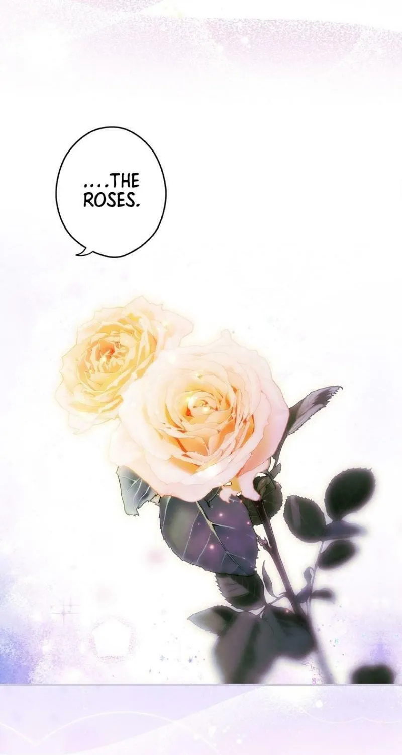 Secret Lady Chapter 116 page 45 - 