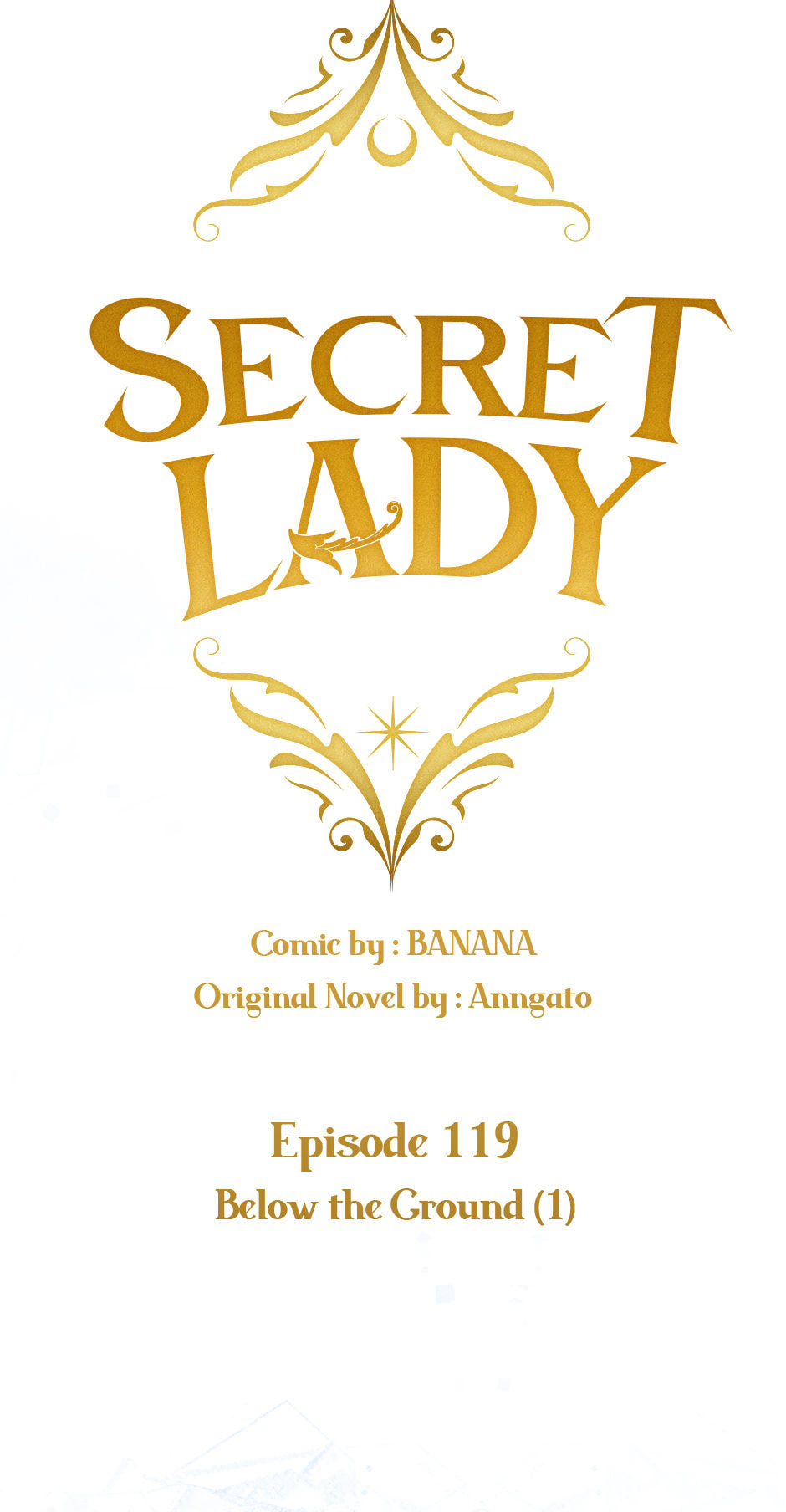 Secret Lady Chapter 119 page 19 - 