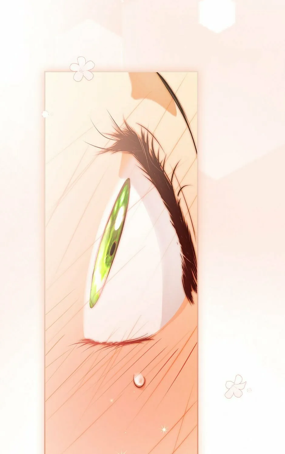 Secret Lady Chapter 79 page 27 - 