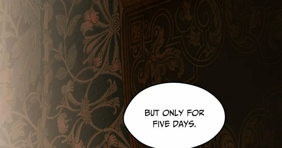 Secret Lady Chapter 79 page 76 - 