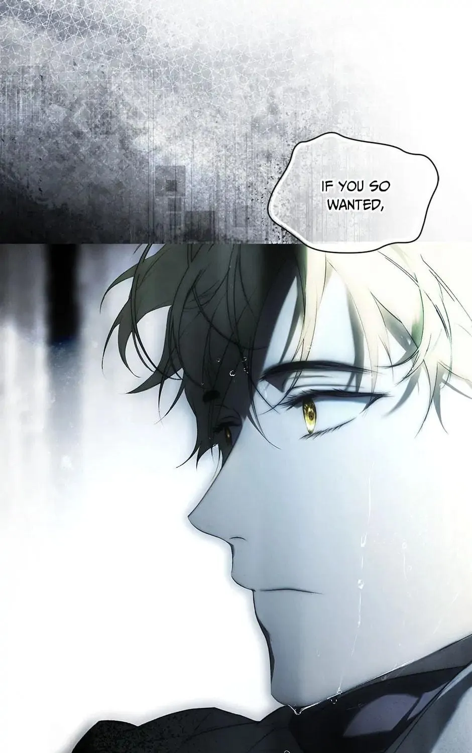 Secret Lady Chapter 81 page 69 - 