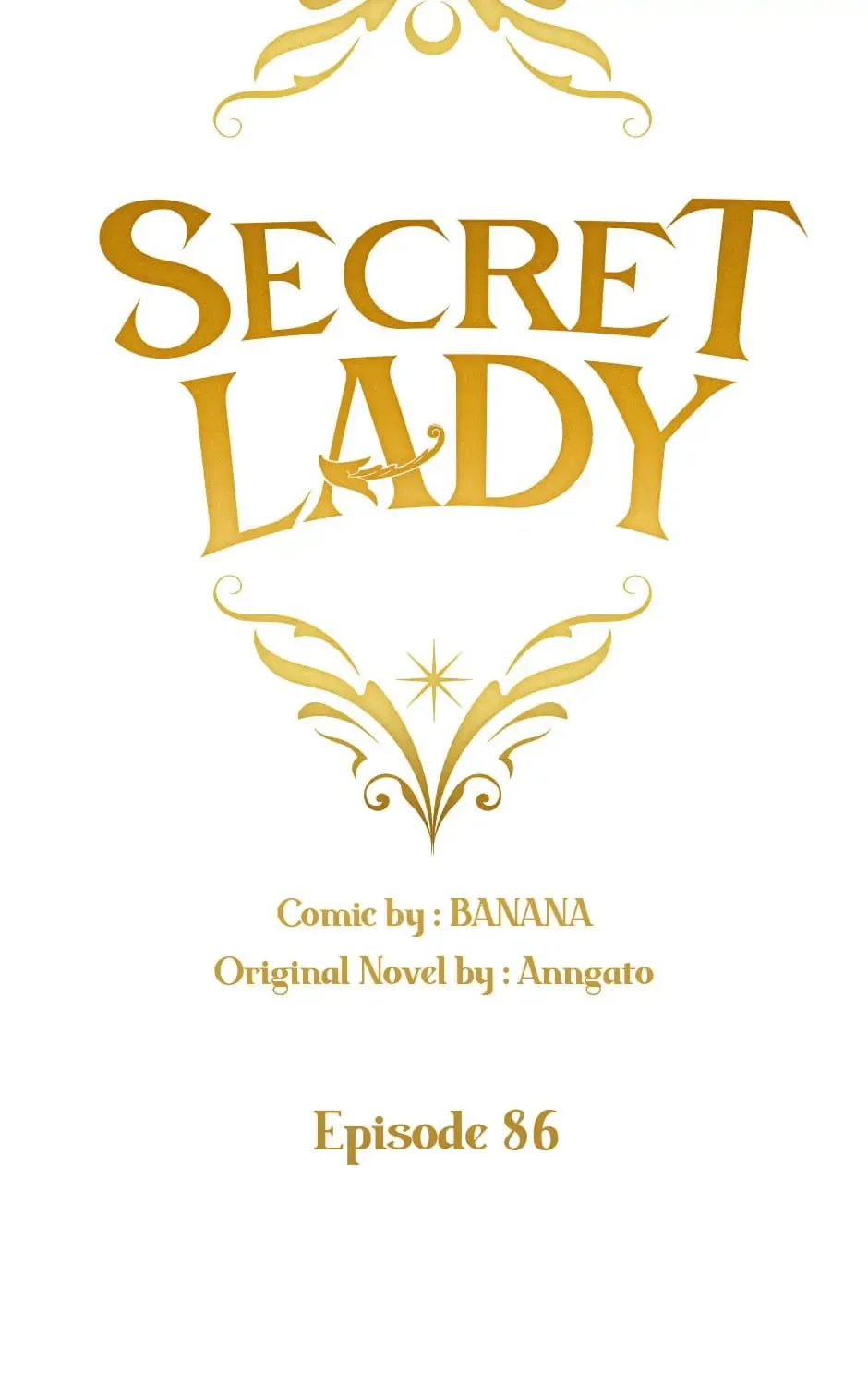Secret Lady Chapter 86 page 45 - 