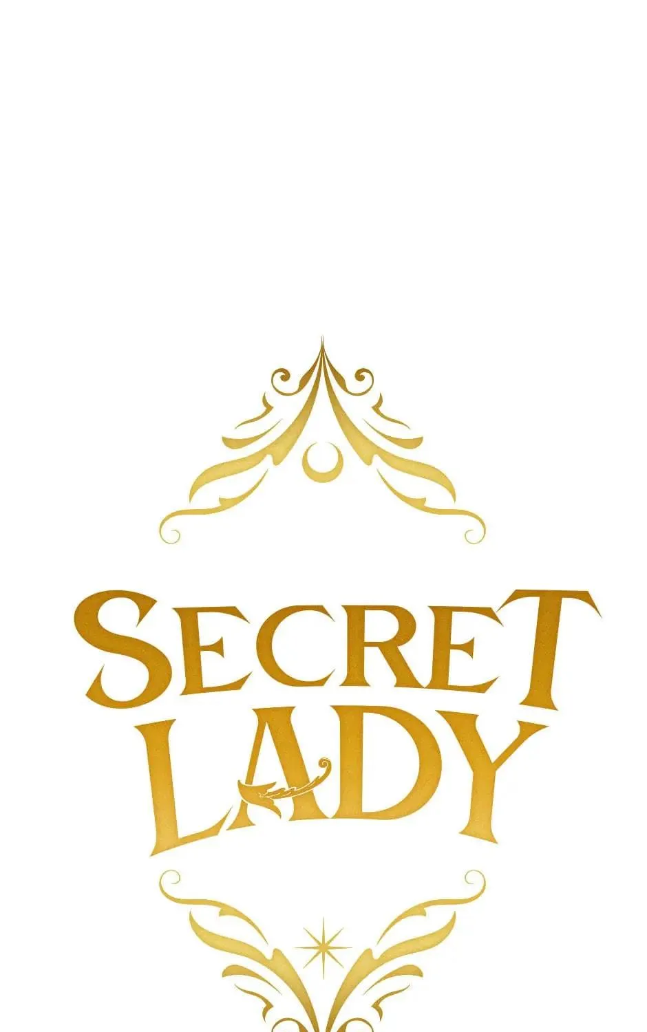 Secret Lady Chapter 88 page 19 - 