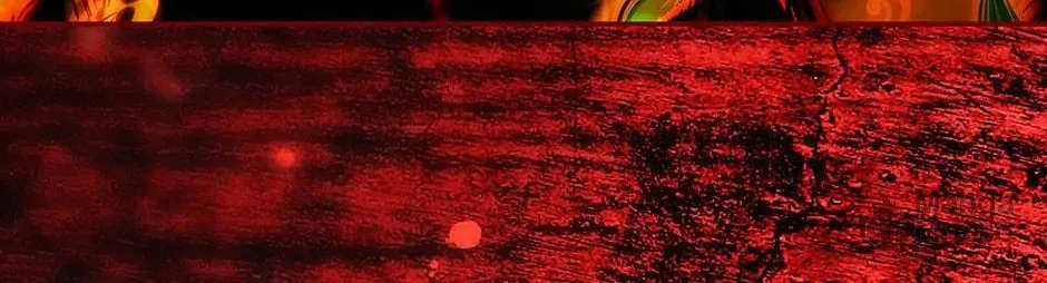 Secret Lady Chapter 92 page 30 - 