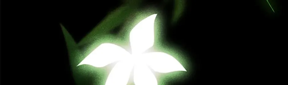 Secret Lady Chapter 92 page 76 - 