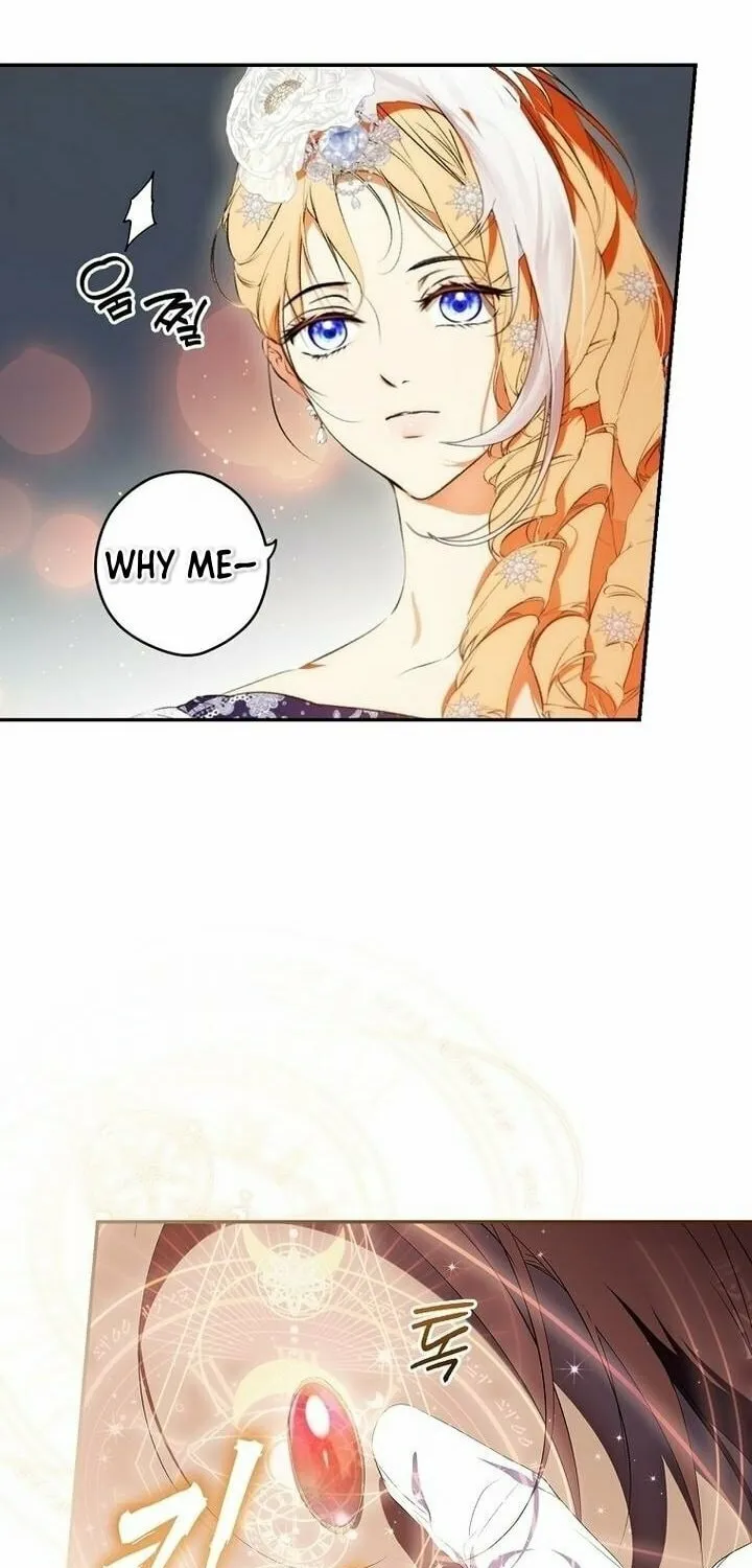 Secret Lady Chapter 98 page 44 - 