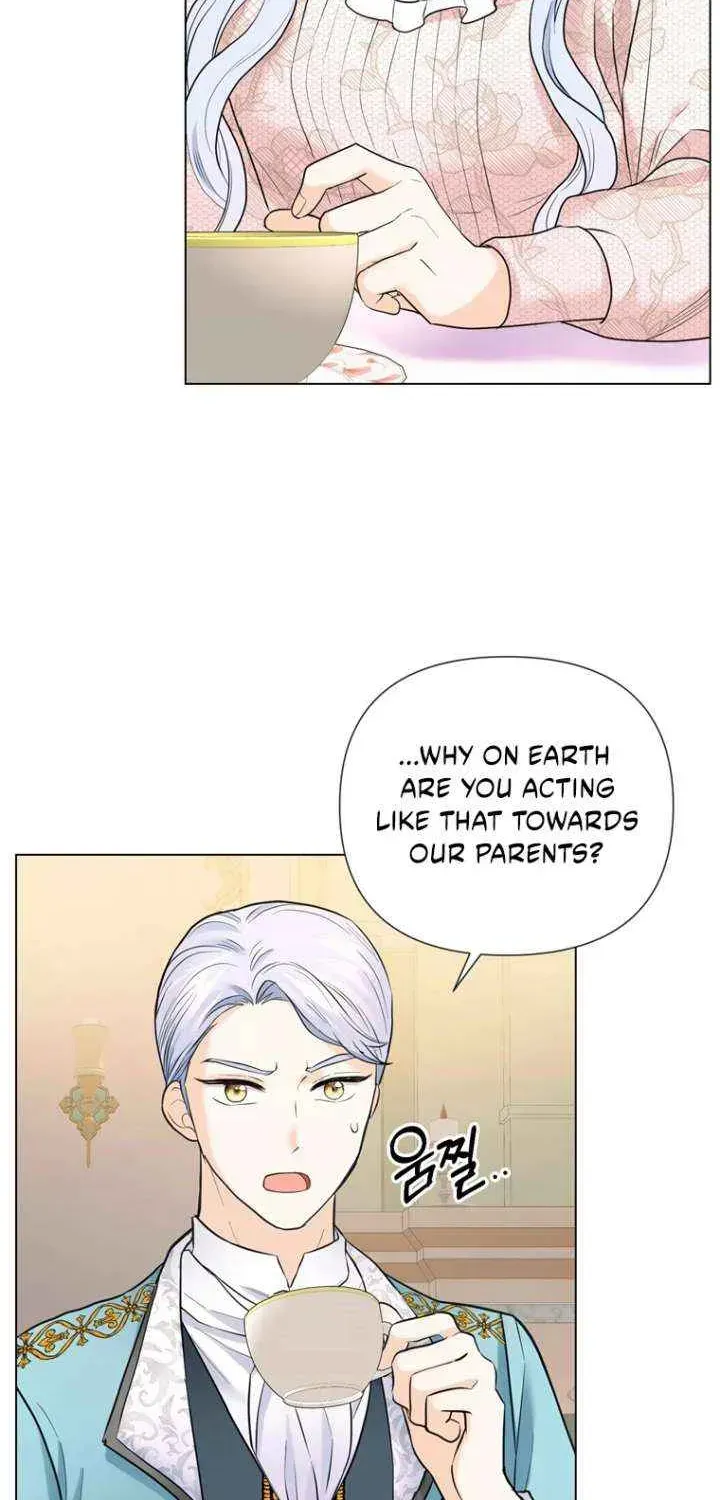 Secret Love Affair Between a Former Saint and a Dark Hero Chapter 17.1 page 36 - 