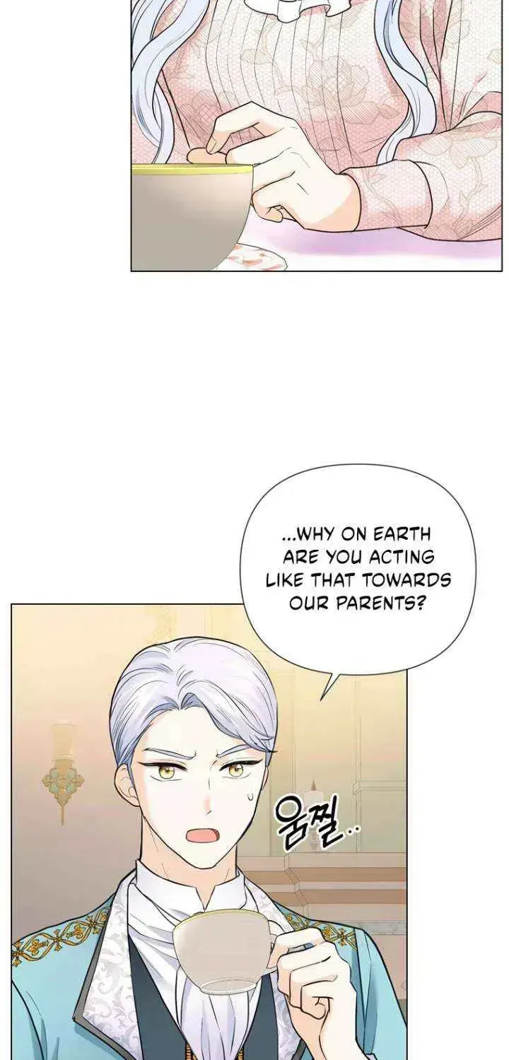 Secret Love Affair Between a Former Saint and a Dark Hero Chapter 17.9 page 36 - 