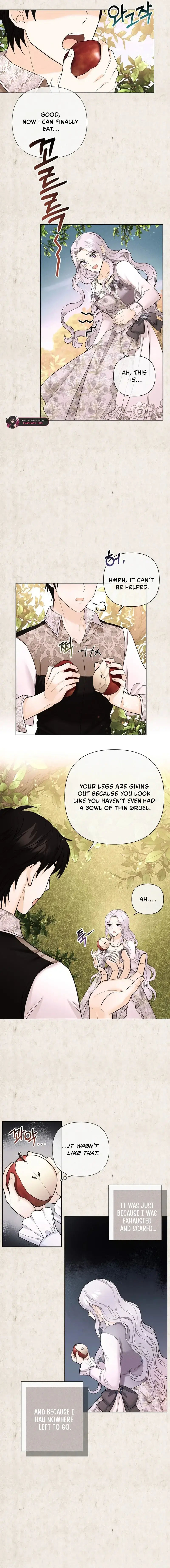 Secret Love Affair Between a Former Saint and a Dark Hero Chapter 21 page 10 - 