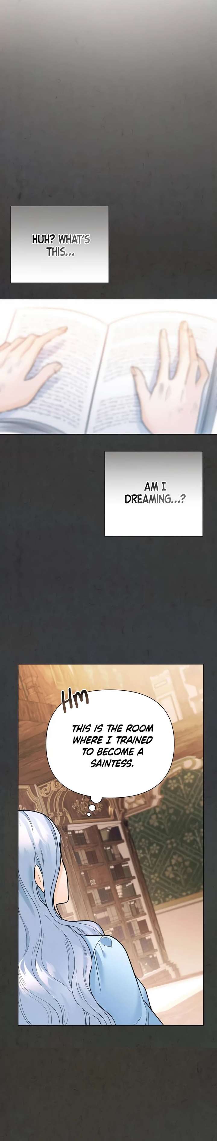 Secret Love Affair Between a Former Saint and a Dark Hero Chapter 5 page 26 - 