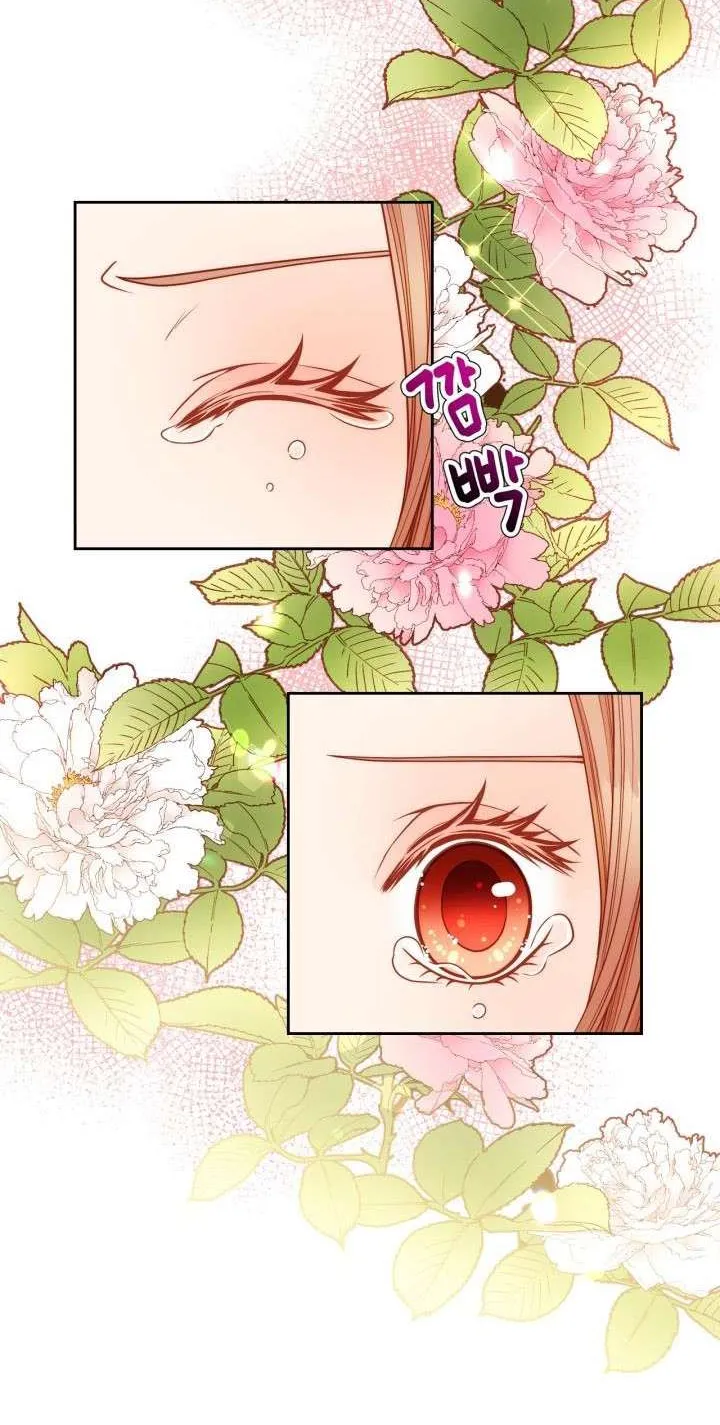 Secret Wardrobe Of The Duchess Chapter 1 page 34 - 