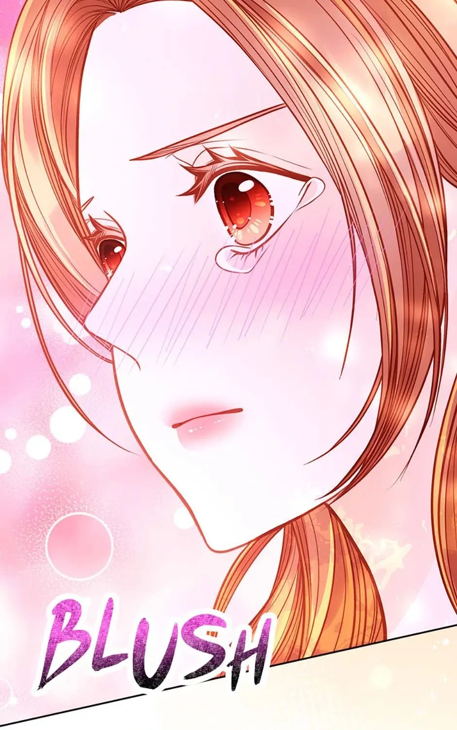 Secret Wardrobe Of The Duchess Chapter 100 page 27 - 