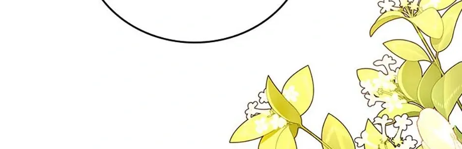 Secret Wardrobe Of The Duchess Chapter 101 page 182 - 