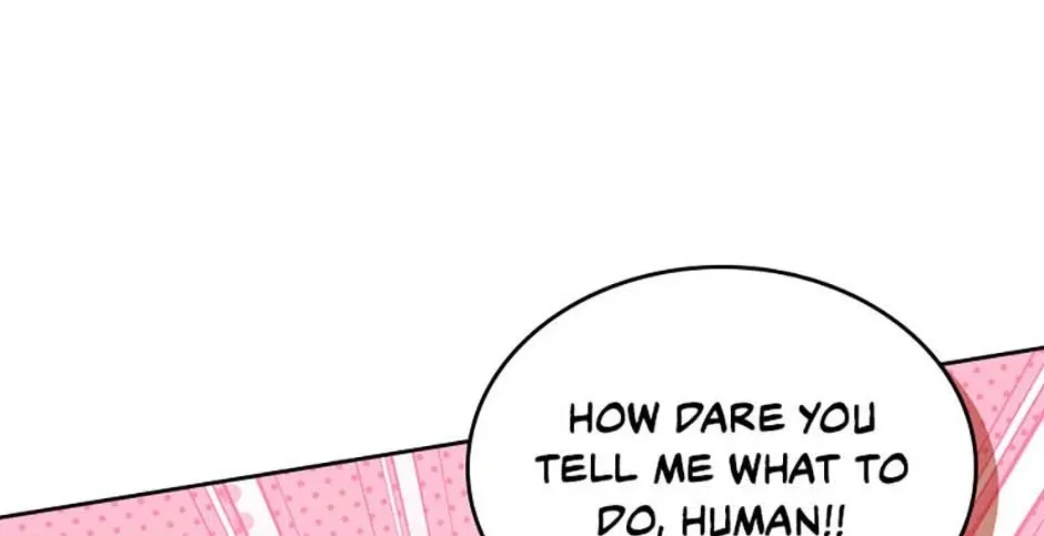 Secret Wardrobe Of The Duchess Chapter 102 page 83 - 