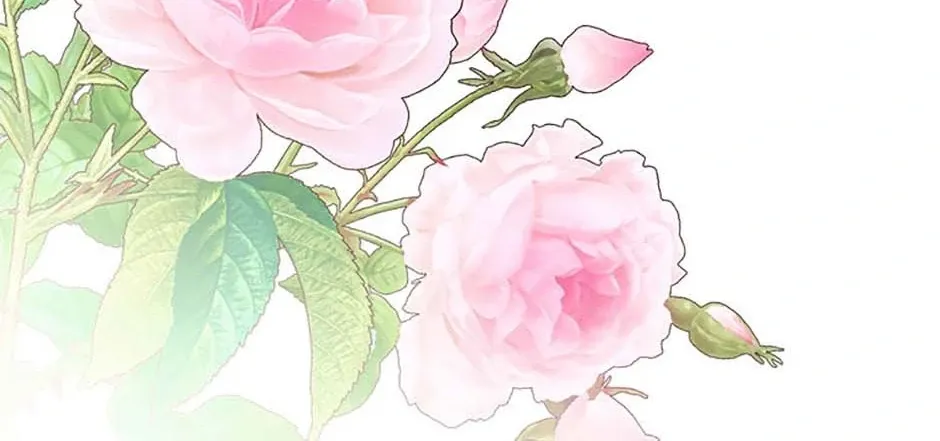 Secret Wardrobe Of The Duchess Chapter 106 page 69 - 