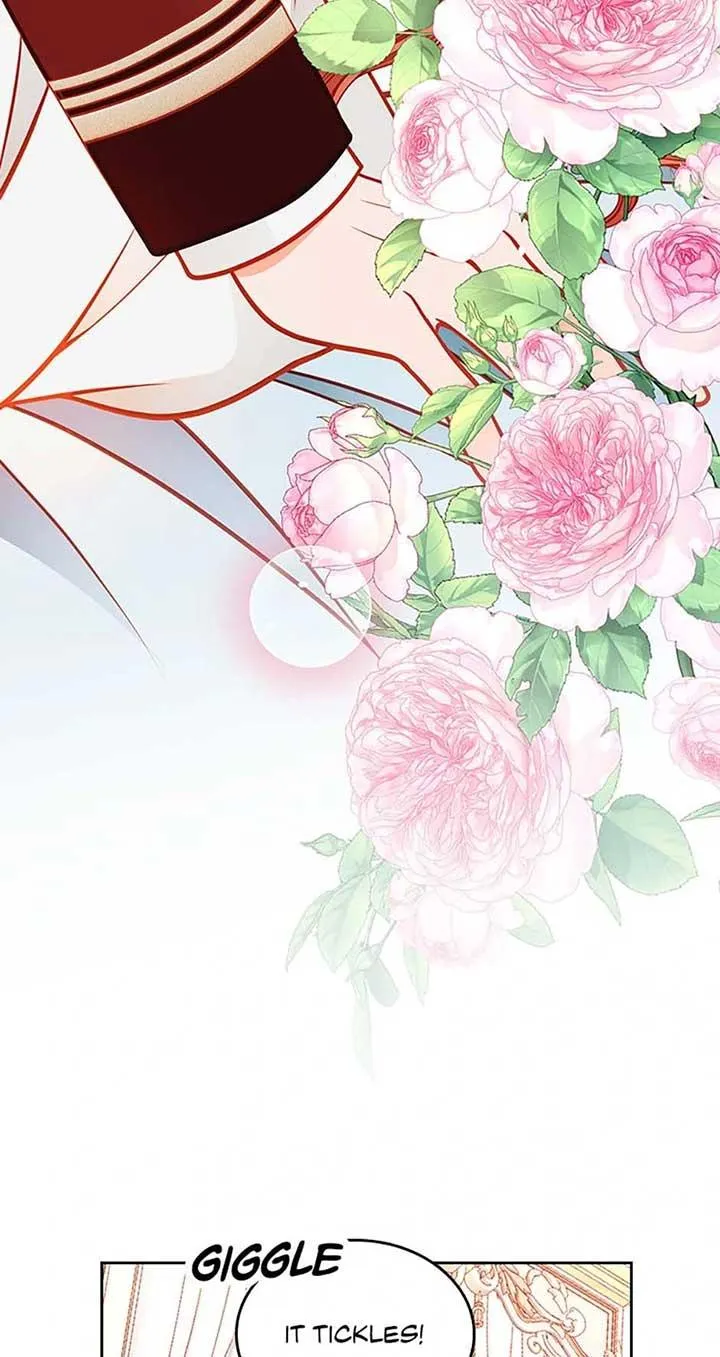 Secret Wardrobe Of The Duchess Chapter 107 page 65 - 