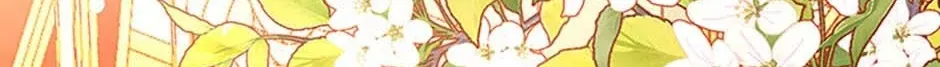 Secret Wardrobe Of The Duchess Chapter 112 page 162 - 
