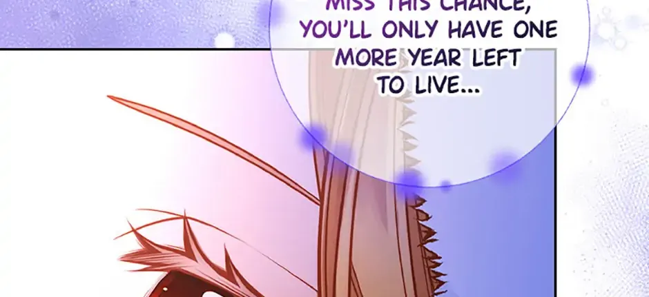 Secret Wardrobe Of The Duchess Chapter 120 page 119 - 