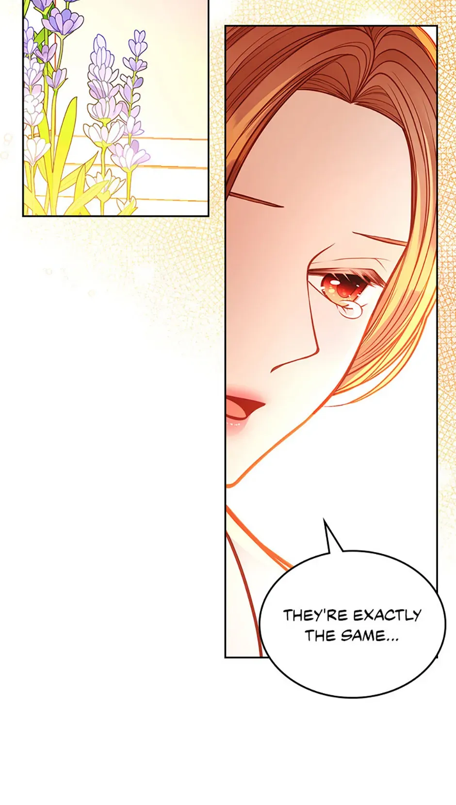 Secret Wardrobe Of The Duchess Chapter 125 page 77 - 
