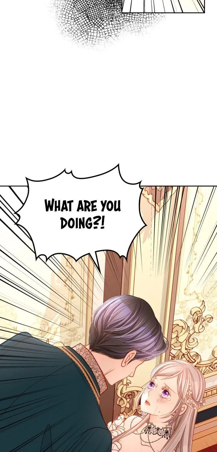 Secret Wardrobe Of The Duchess Chapter 14 page 40 - 