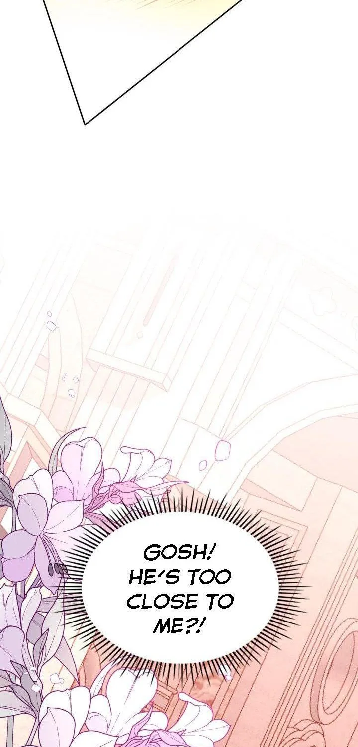 Secret Wardrobe Of The Duchess Chapter 16 page 39 - 