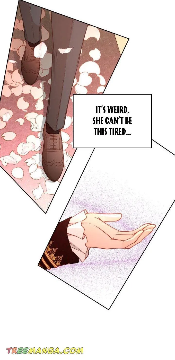 Secret Wardrobe Of The Duchess Chapter 16 page 5 - 