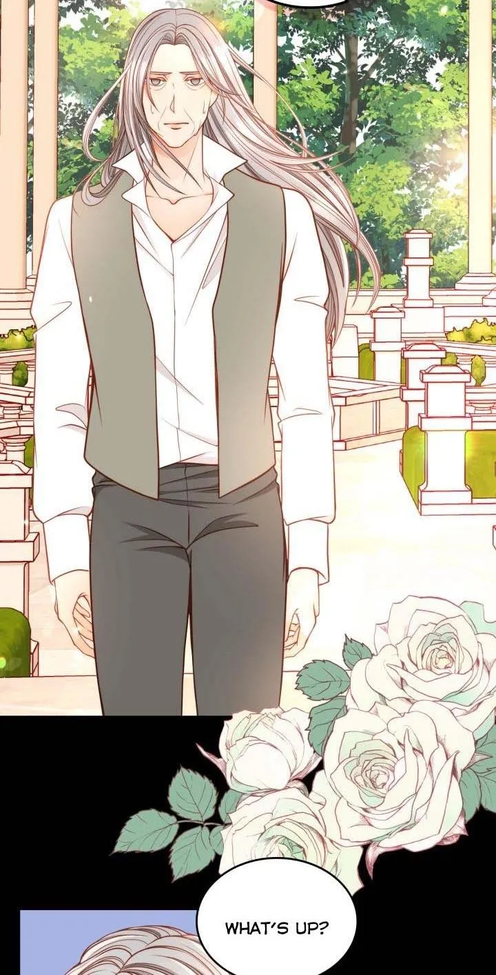 Secret Wardrobe Of The Duchess Chapter 19 page 19 - 
